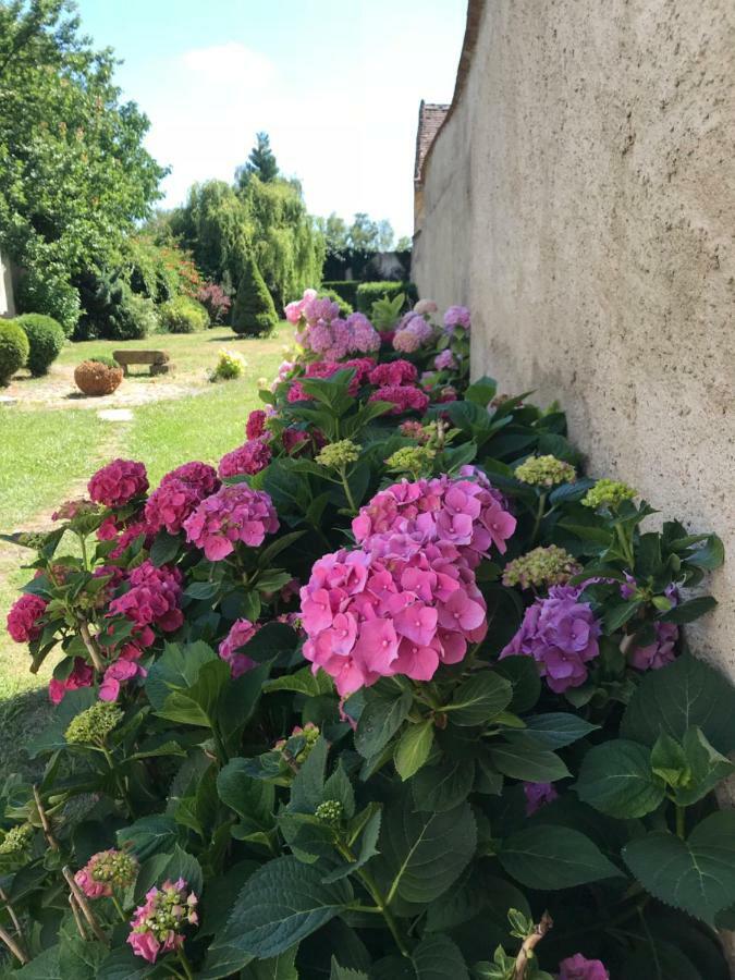 Budyne Apartment Budyne nad Ohri Zewnętrze zdjęcie