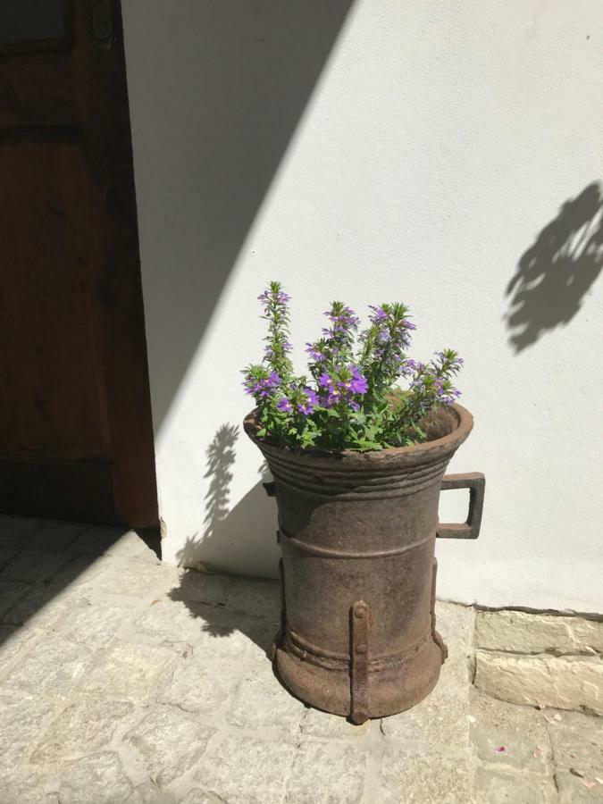 Budyne Apartment Budyne nad Ohri Zewnętrze zdjęcie