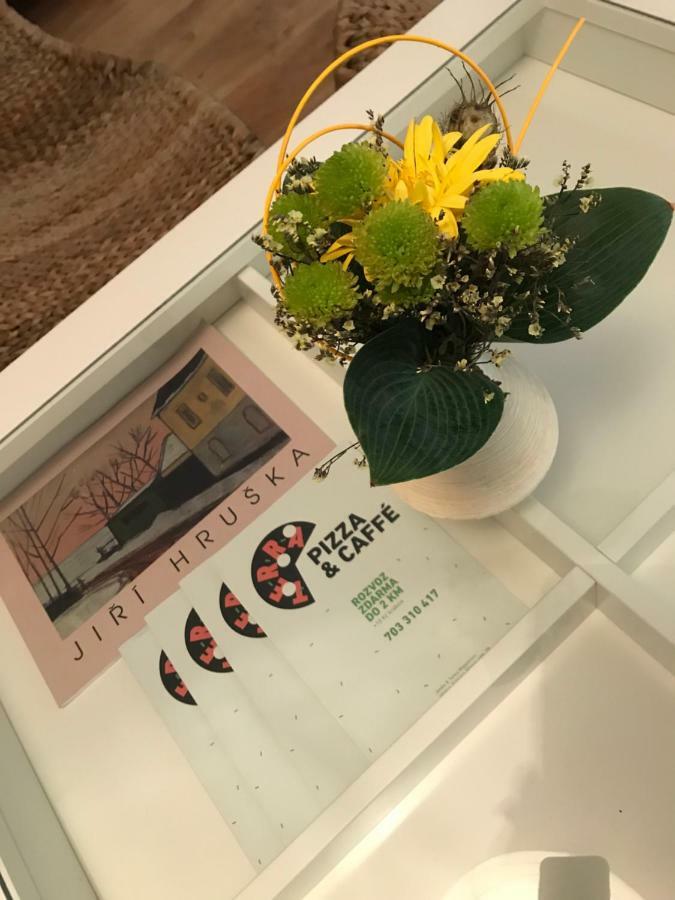 Budyne Apartment Budyne nad Ohri Zewnętrze zdjęcie